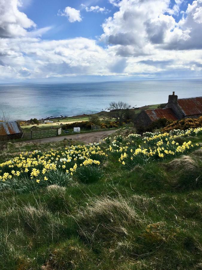 The Stroops Leilighet Helmsdale Eksteriør bilde